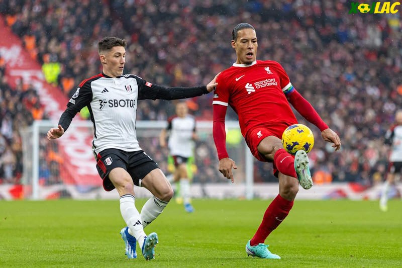 Fulham sẽ đối đầu với Liverpool tại vòng 4 FA Cup Fulham sẽ đối đầu với Liverpool tại vòng 4 FA Cup