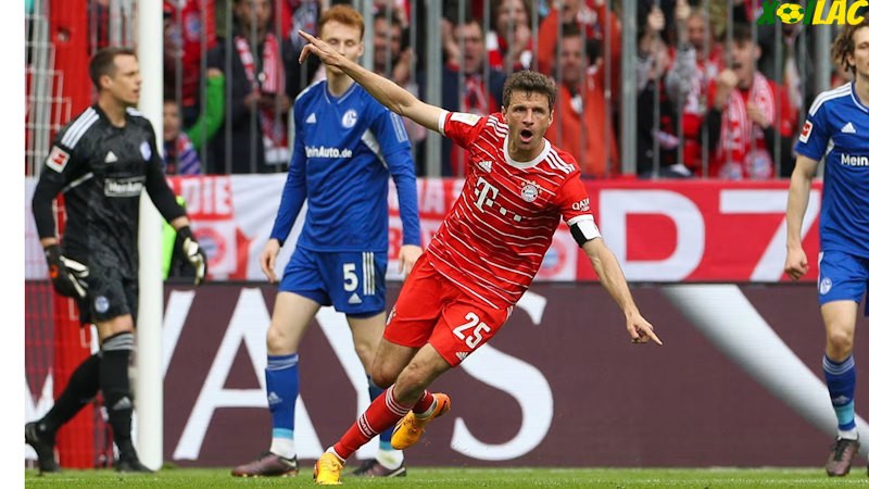 Darmstadt sẽ tiếp đón Bayern Munich trên sân nhà tại vòng 26 Bundesliga