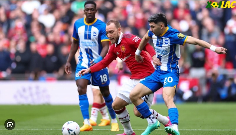 Brighton đối đầu với Manchester United