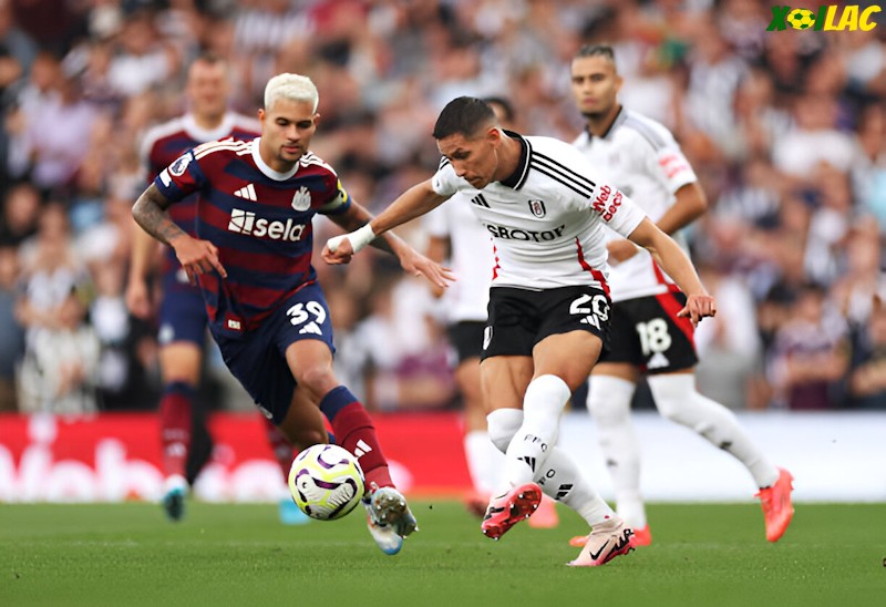 Newcastle sẽ đối đầu Fulham tại vòng 24 Ngoại Hạng Anh Newcastle sẽ đối đầu Fulham tại vòng 24 Ngoại Hạng Anh