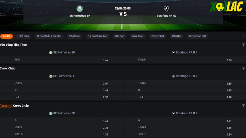 Palmeiras vs Botafogo